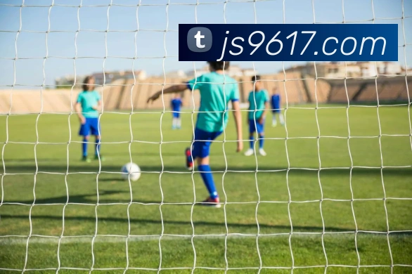 澳门金沙国际服务体系